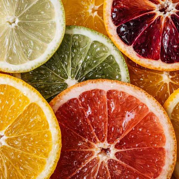 Design Zitruspresse Vita Juicer