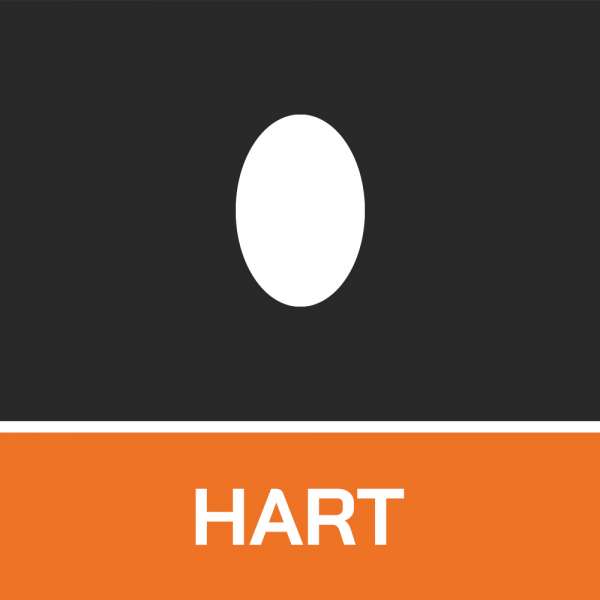 Smarter Eierkocher EasyCook 6